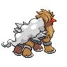 entei back black.